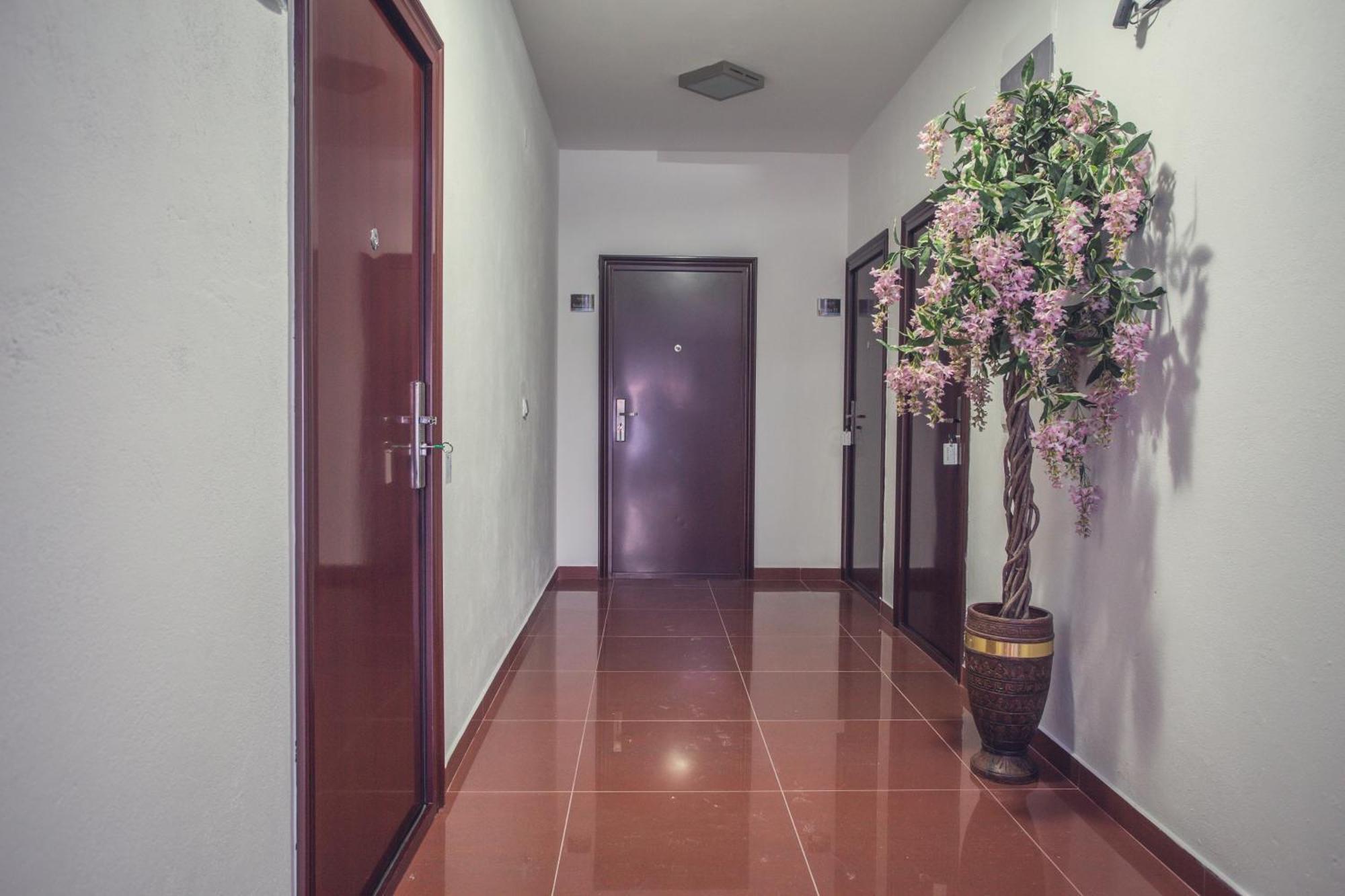 Apartments Atlantis Dobra Voda Exterior photo